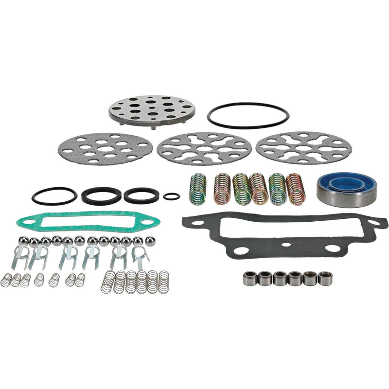 Load image into Gallery viewer, Hydraulic Pump Repair kit for Ford/New Holland 941 CCPN600AB; 1101-0091 image 1
