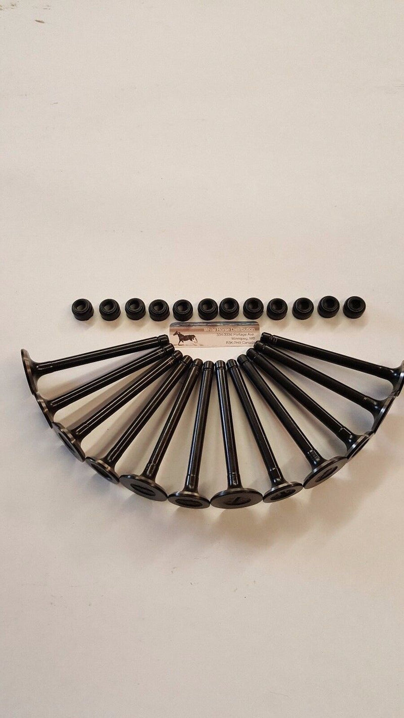 Load image into Gallery viewer, Intake &amp; Exhaust Valve set  for Kubota  V1702 with v/seals
