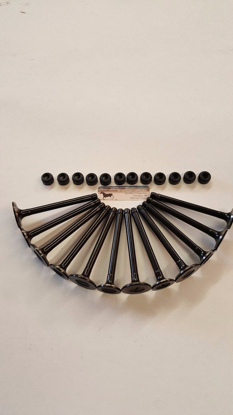 Load image into Gallery viewer, Intake &amp; Exhaust Valve set  for Kubota  V1902 with v/seals
