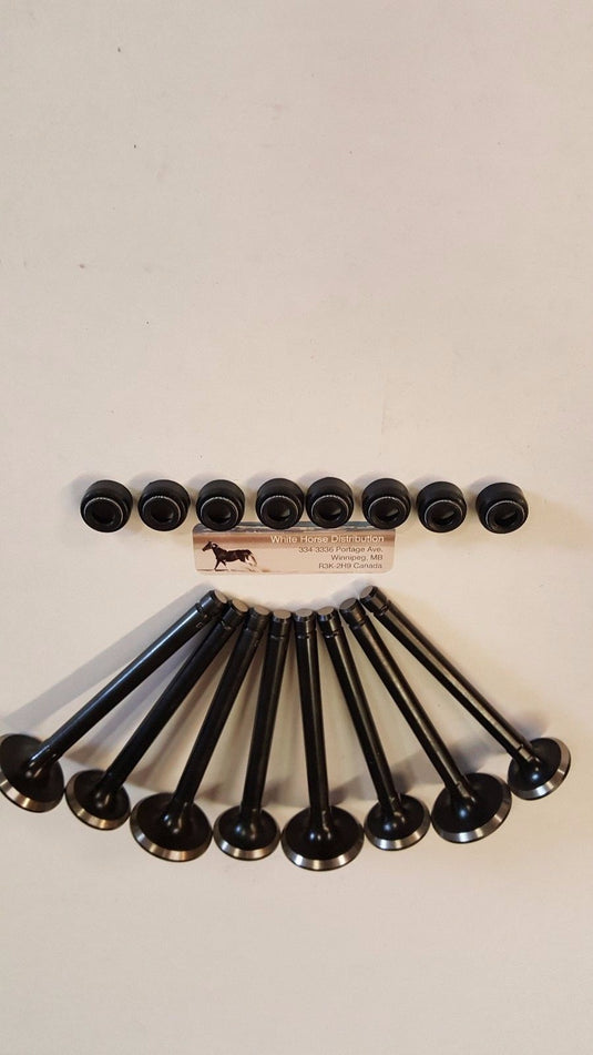Intake & Exhaust Valve set  for Kubota  V1902 with v/seals