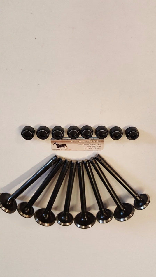 Intake & Exhaust Valve set  for Kubota  V2403 with v/seals