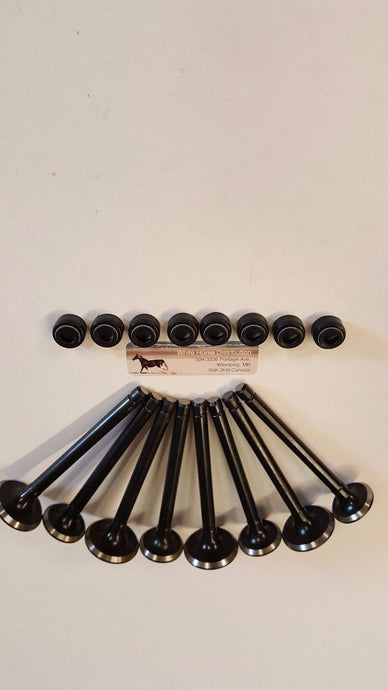 Intake & Exhaust Valve set  for Kubota  KX-151,KH-101,KH151,KX-101 with v/seals